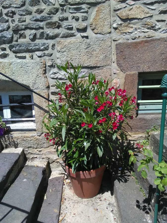 Le Refuge Des Alpes Mancelles Apartment Fresnay-sur-Sarthe Exterior photo